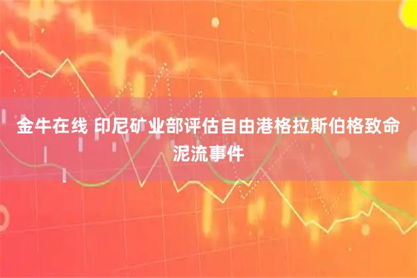 金牛在线 印尼矿业部评估自由港格拉斯伯格致命泥流事件