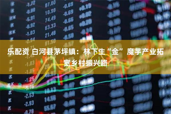 乐配资 白河县茅坪镇：林下生“金” 魔芋产业拓宽乡村振兴路